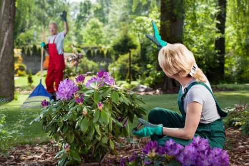 Removing branches and garden clutter during Anerley garden clearance