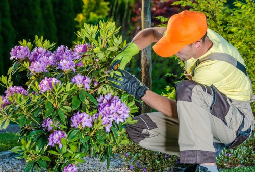 Gardeners Anerley recycling green waste and garden materials