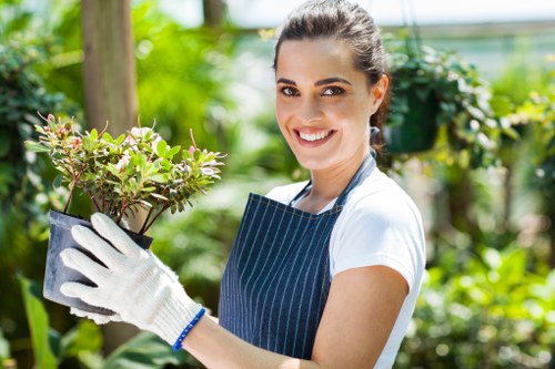 Professional safety-focused garden maintenance by Gardeners Anerley