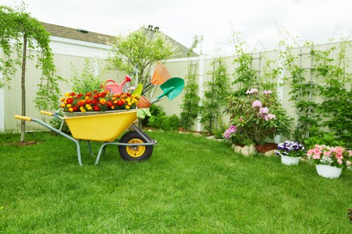 Anerley garden maintenance with plants and tidy borders