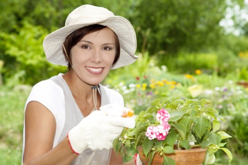 Lawn mowing and garden upkeep in Anerley residential property