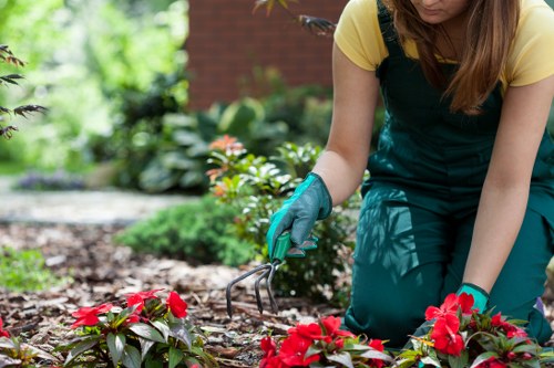 Sustainable garden clearance and recycling by Gardeners Anerley