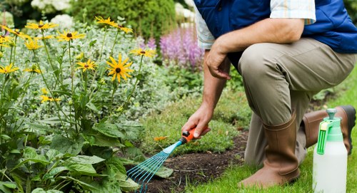 Thoughtful garden care by Anerley gardeners in a residential space