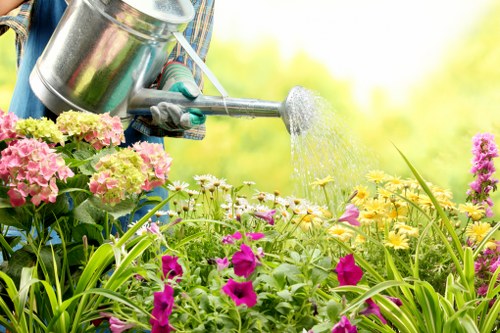 Garden care in Anerley with seasonal planting and tidy borders