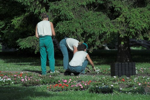 Professional Gardeners Anerley improving a neat garden layout