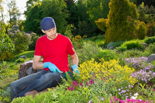 Weed control and neat garden landscaping in Anerley