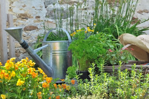 Illustration representing accessibility support for Gardeners Anerley users