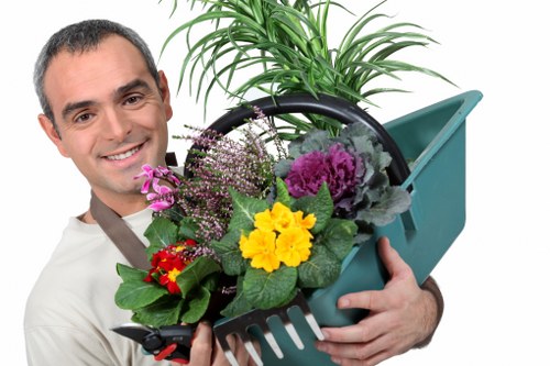 Professional hedge trimming and planting care in Anerley garden