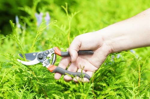 Illustration representing screen-reader compatible gardening information