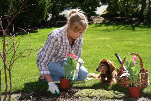 Professional landscape gardening in Anerley featuring hard and soft landscaping