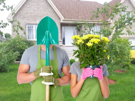 Healthy planting and lawn care in an Anerley garden