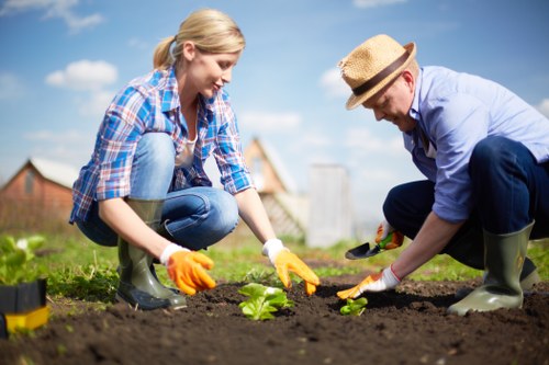 Gardeners Anerley supporting charity reuse and donated garden items