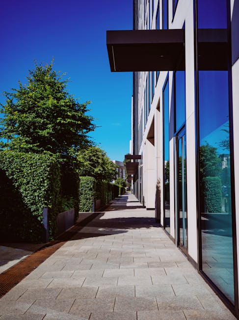 Best commercial gardeners in Anerley for flats and offices