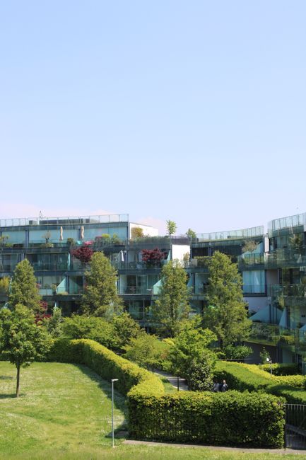 A paved sidewalk runs alongside a modern building with large glass windows and white exterior panels, reflecting the bright blue sky. On the left side, a neatly trimmed hedge with dense, dark green fo